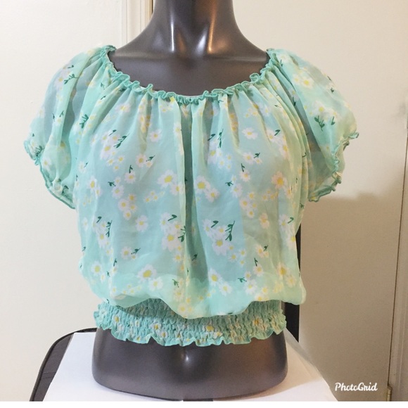 Bongo Chiffon Sheer Crop Top - Picture 1 of 5